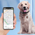 GPS Anti - lost Device
