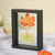Wooden Photo Frame