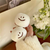 Plush Toy