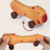 Decompression Kapibarara Car Squishy Toy