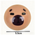 apybara squeeze decompression toy