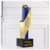 Hollowed-Out Irregular Metal Trophy