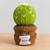 Knitted flower plant pot