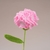 Bouquet of pipe cleaner carnations and tulips