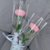 Pipe cleaner carnation bouquet