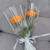 Pipe cleaner carnation bouquet