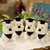 West Highland White Terrier Plush Graduation Doll