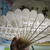 Translucent Relief Fan