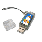 Graphic Showing USB Flash Memory