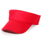 Promotional Visor