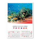 Wall Calendar