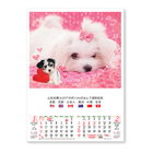 Wall Calendar