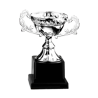 Metal trophy