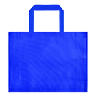 Non Woven Bag