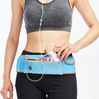 Waist Bag