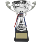 Trophy Cup