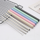 Stainless Steel Straw with Tube