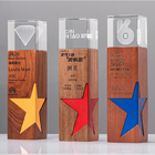 Star Solid Wood Crystal Trophy