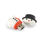 USB Flash Memory 