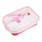 Environmental Microwave Lunch Box