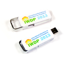 Color Printing USB Flash Disk