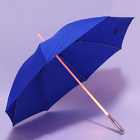 Luminous umbrella