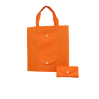 Non-woven Bag