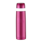 350ML Thermal Bottle