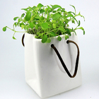 Environmental Planted Gift