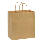 Environmental Gift Bag