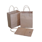 Environmental Kraft Paper Bag
