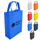 Non Woven Bag